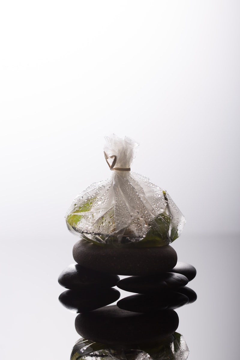 Packaging And Bioplastics 1 a bag of garbage sitting on top of a pile of rocks