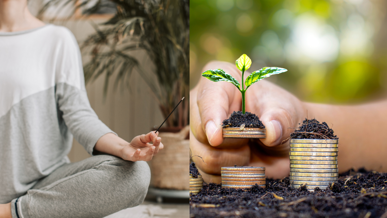 The Art of Balanced Expansion